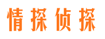 兴城市调查公司